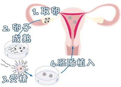 医生